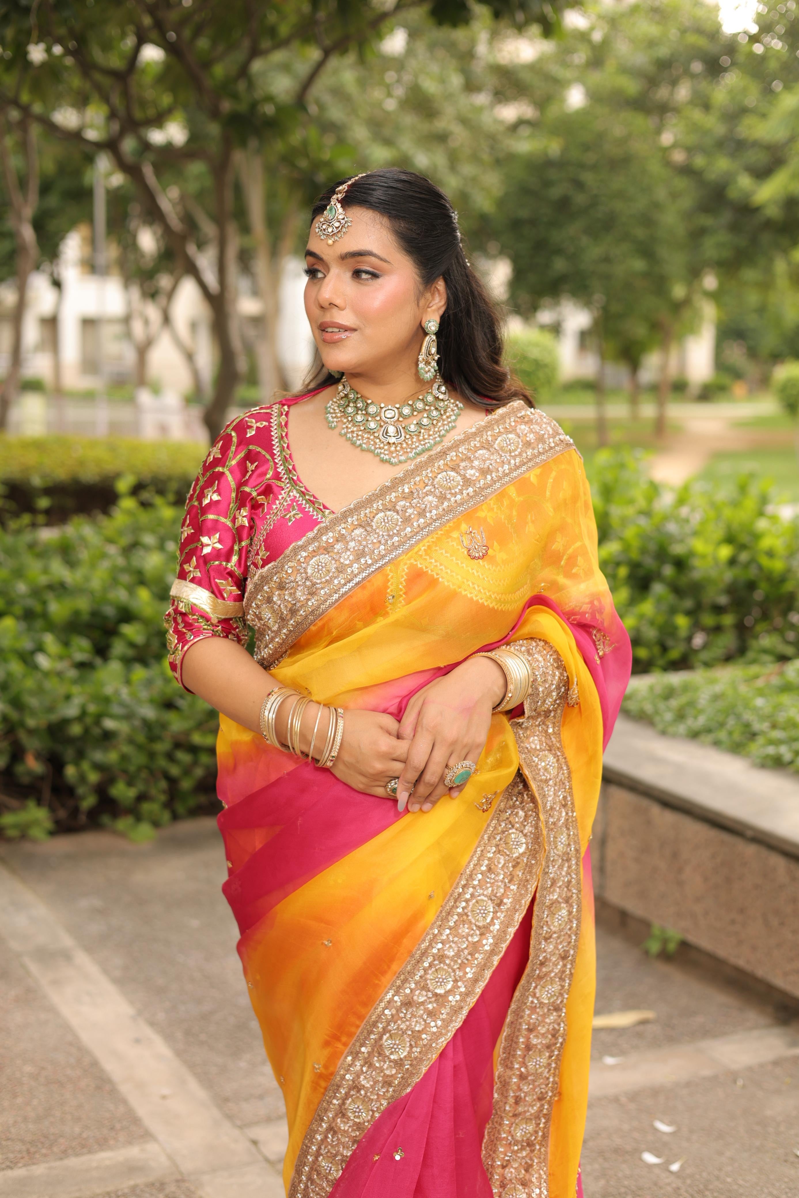 Madhubala - Sitara Aangi Saree Set
