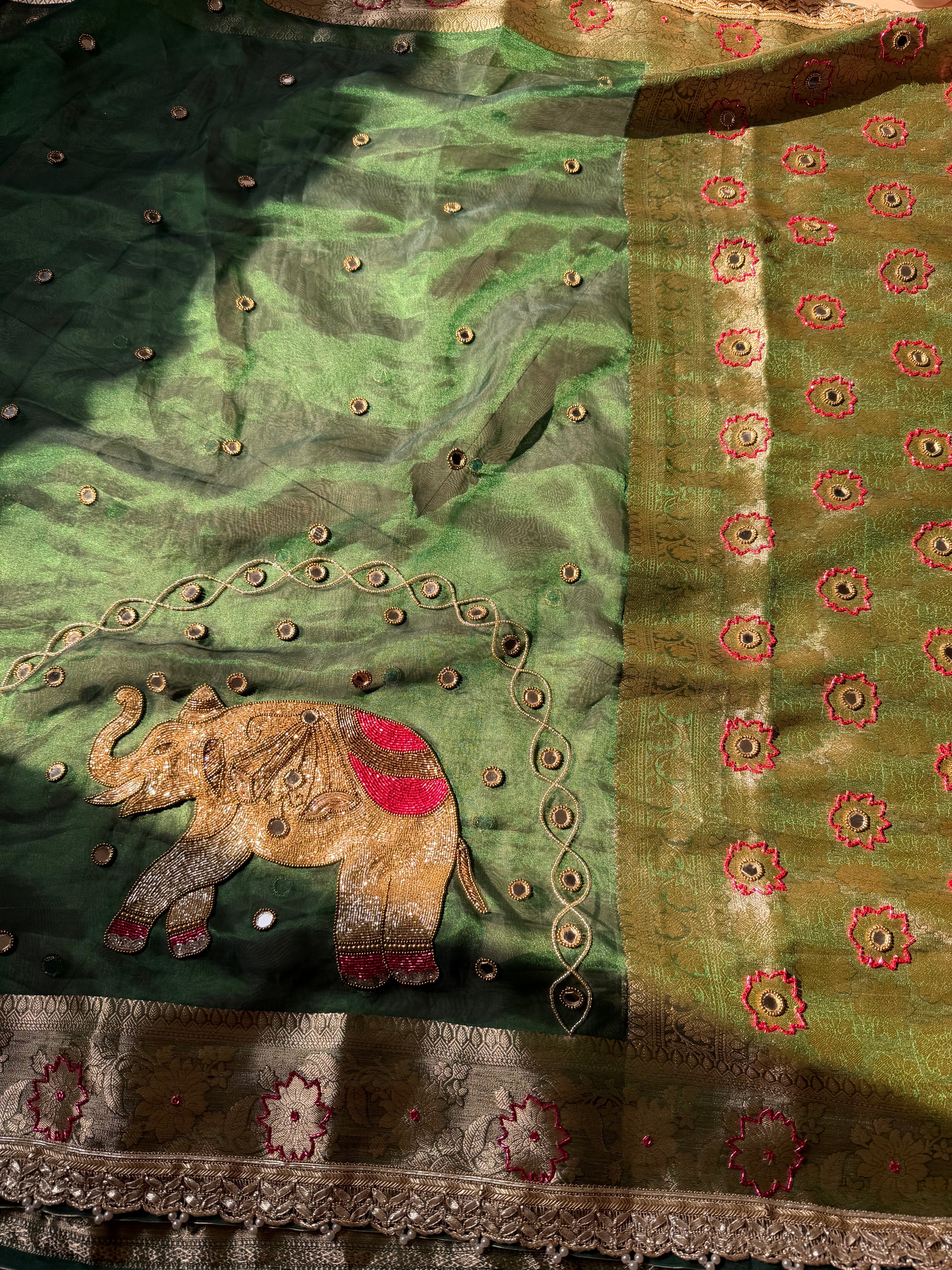 HARI BEGUM