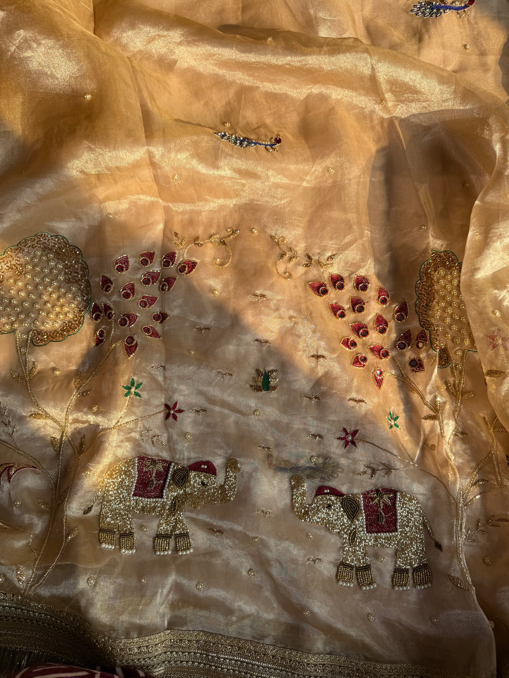 Paro Ki Saree - Pure Tissue Silk Saree With Hand Embroidery