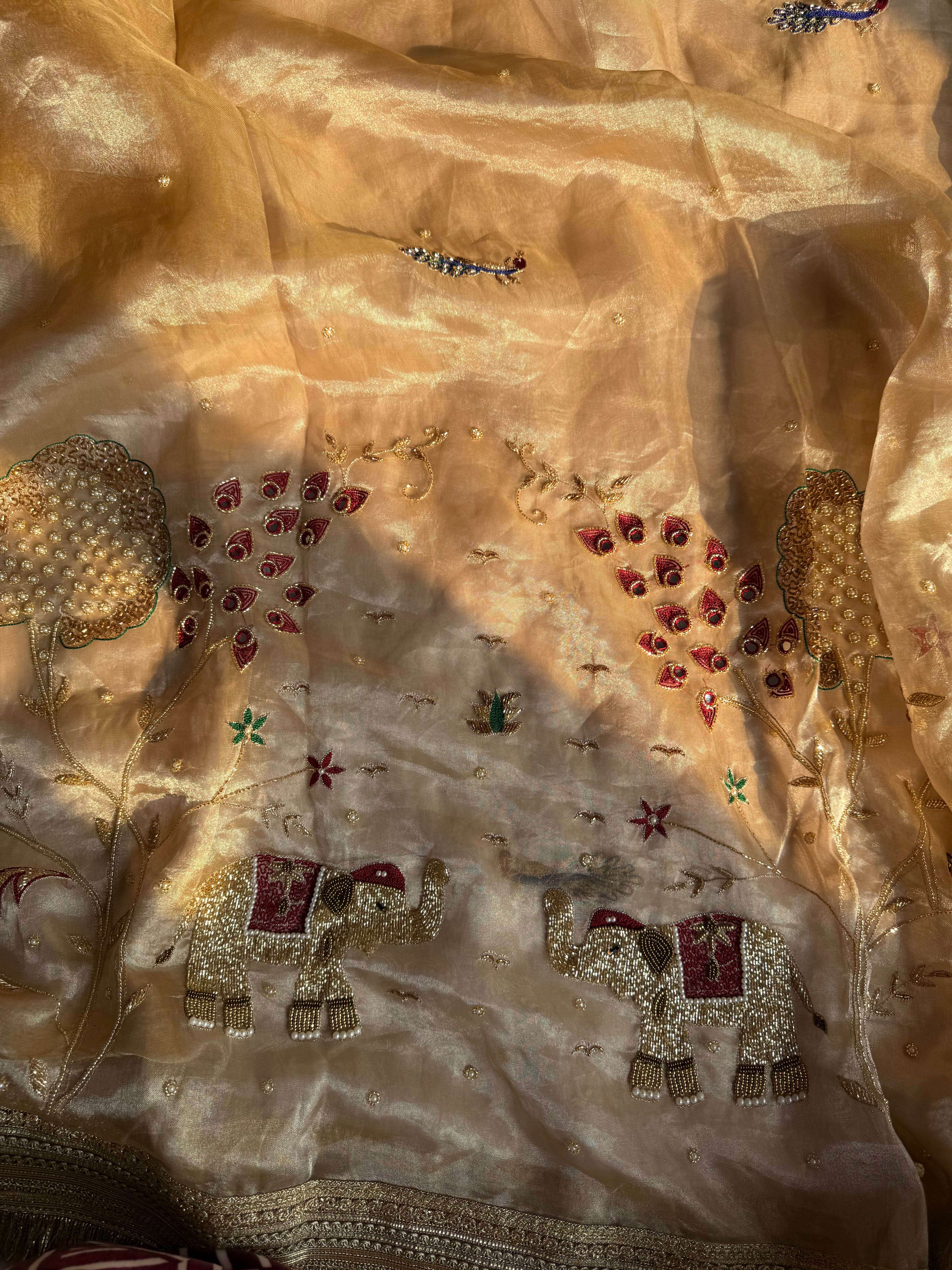 Sitara - Pure Tissue Silk Saree With Hand Embroidery