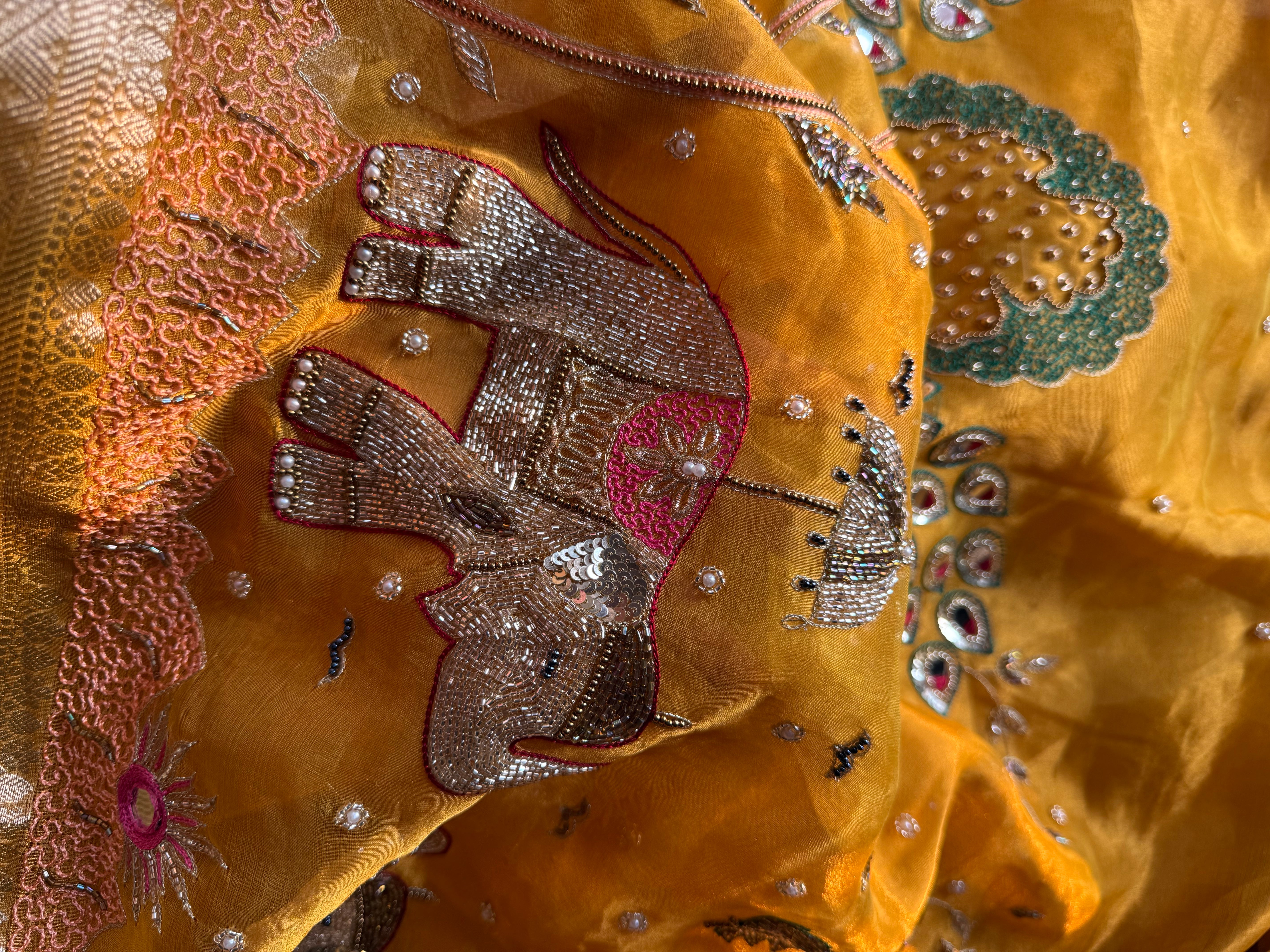 The Raajsi Baraat - Pure Tissue Silk Saree With Hand Embroidery