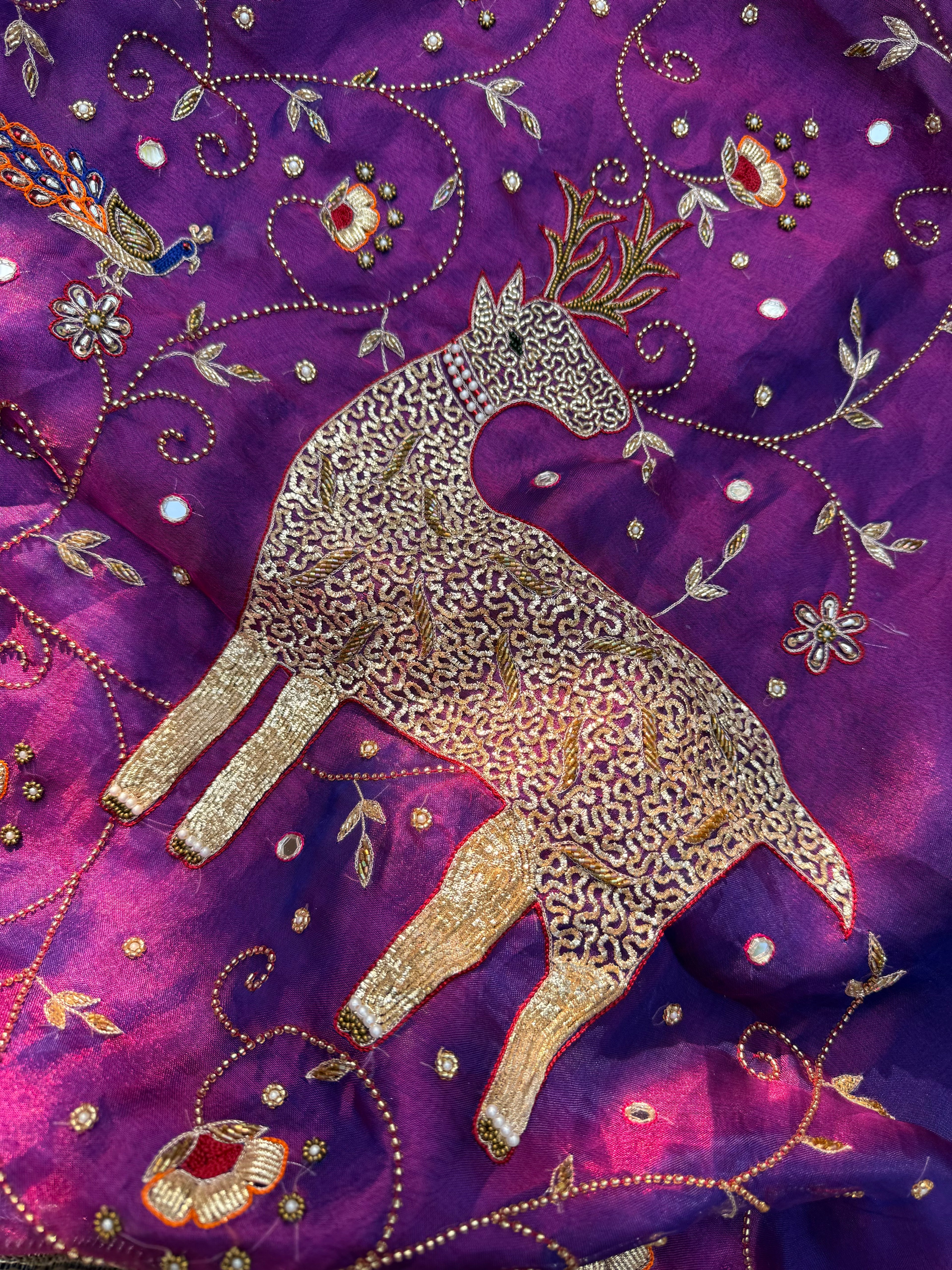 Jamuni Jadoo - Pure Tissue Silk Saree With Hand Embroidery