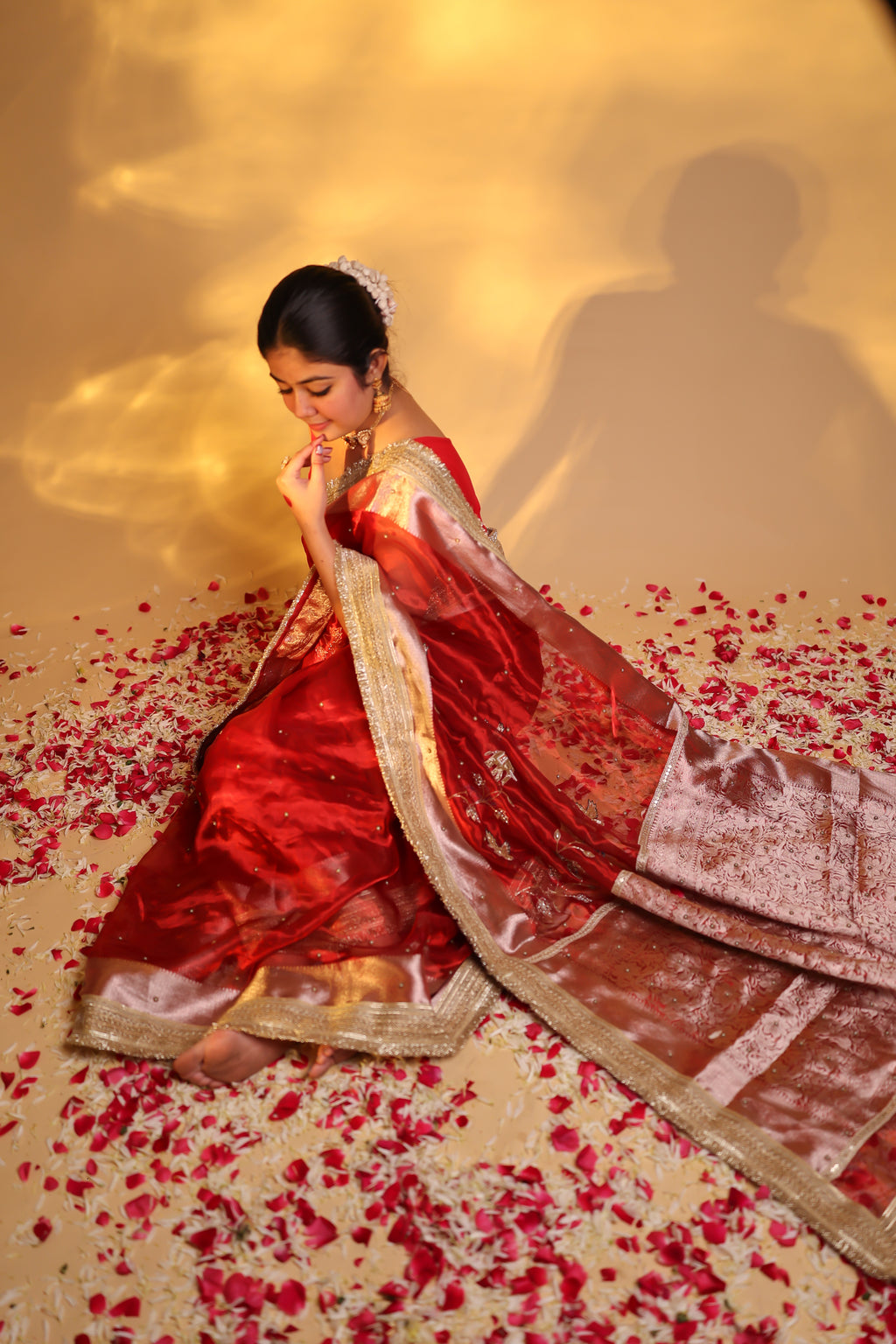 HUMSAFAR - Pure Tissue Silk Saree With Hand Embroidery