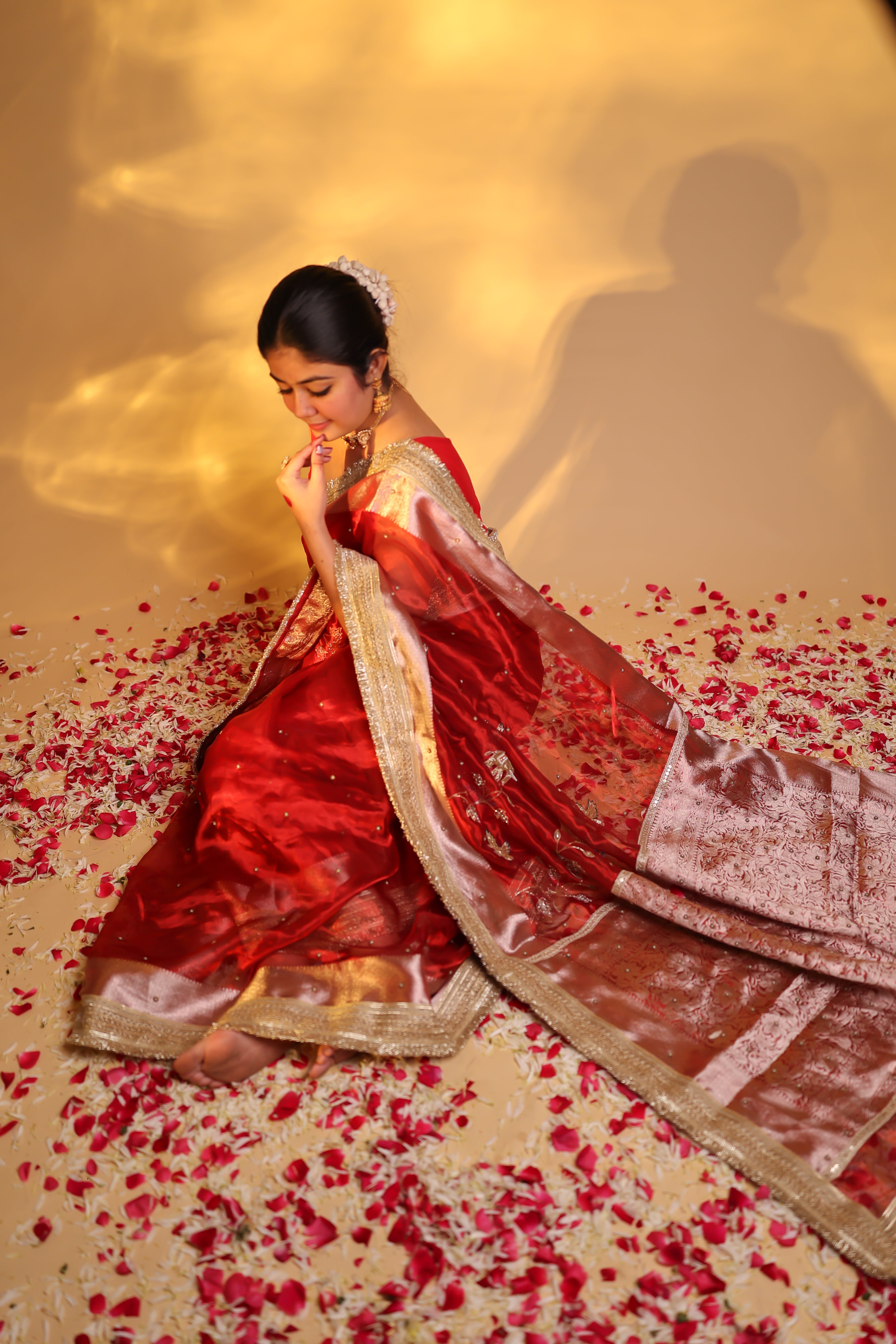 HUMSAFAR - Pure Tissue Silk Saree With Hand Embroidery