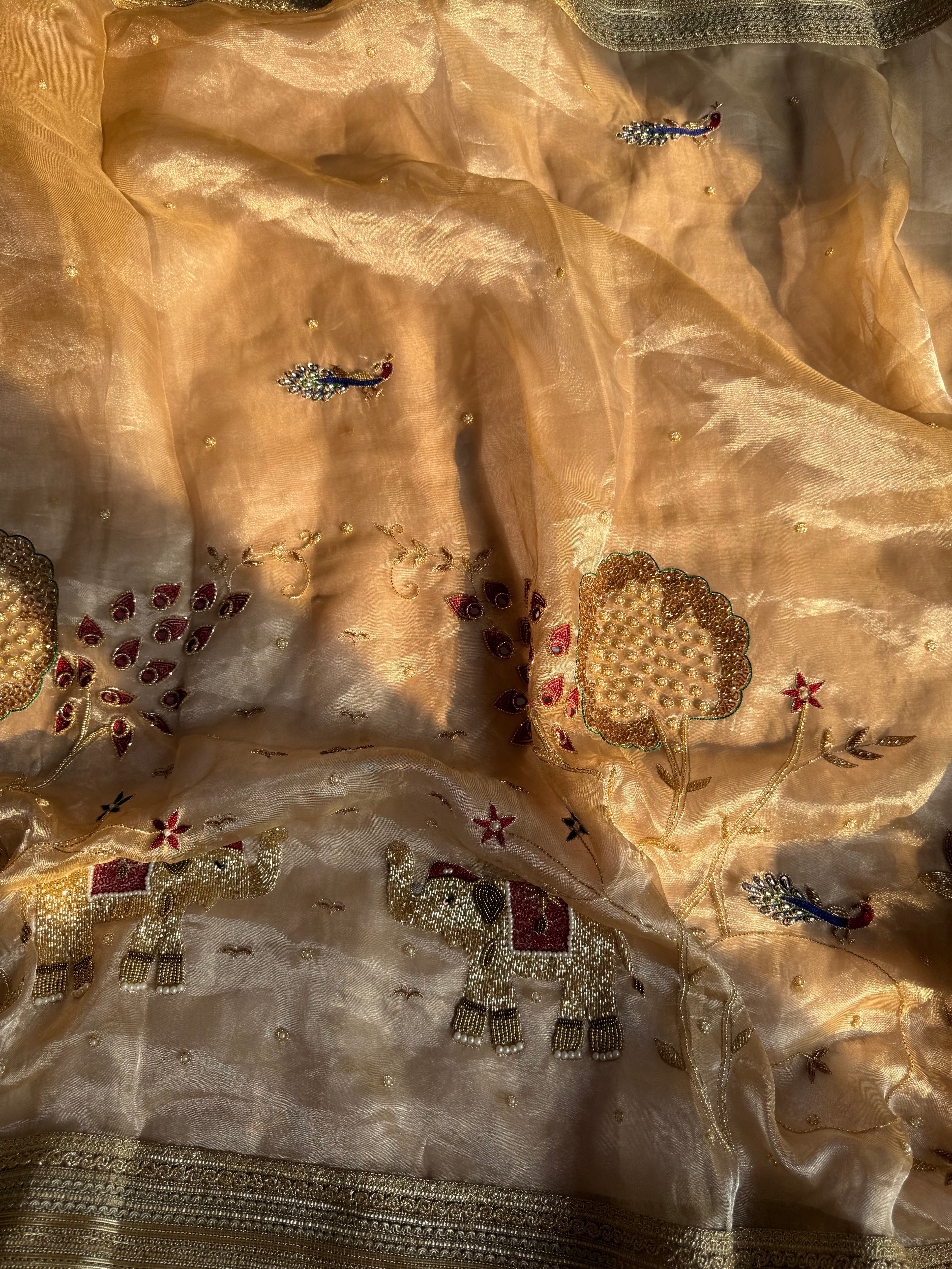 Paro Ki Saree - Pure Tissue Silk Saree With Hand Embroidery