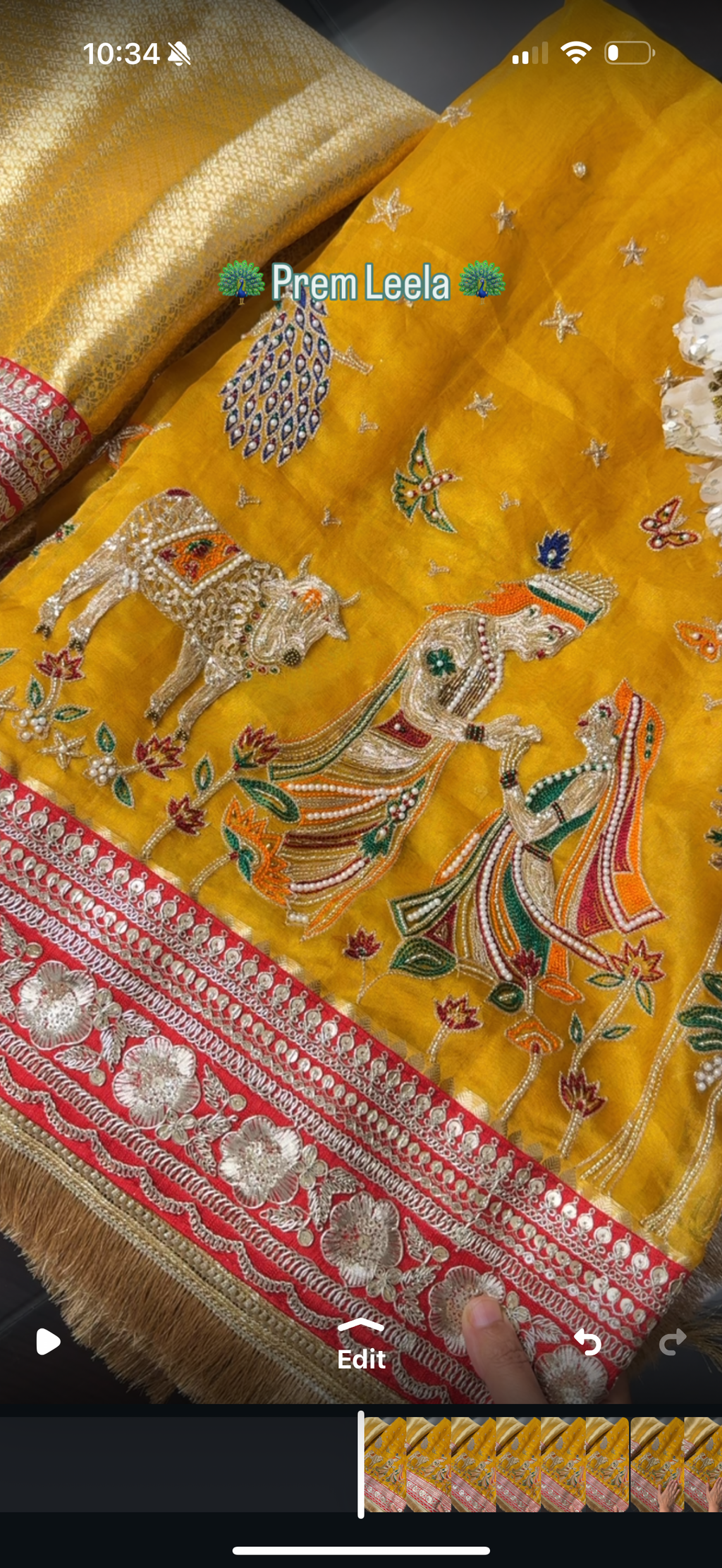 Prem Leela - Pure Tissue Silk Saree With Hand Embroidery