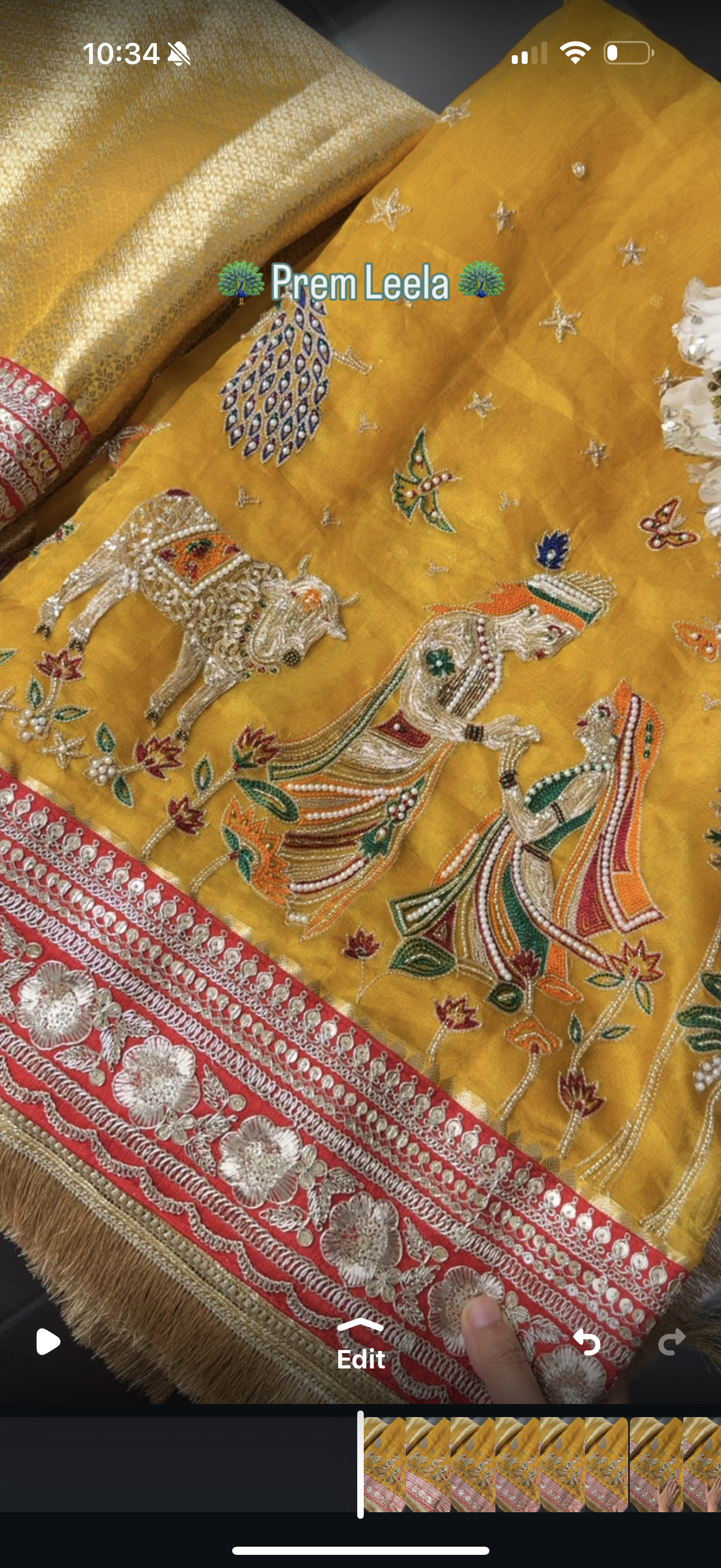 Prem Leela - Pure Tissue Silk Saree With Hand Embroidery