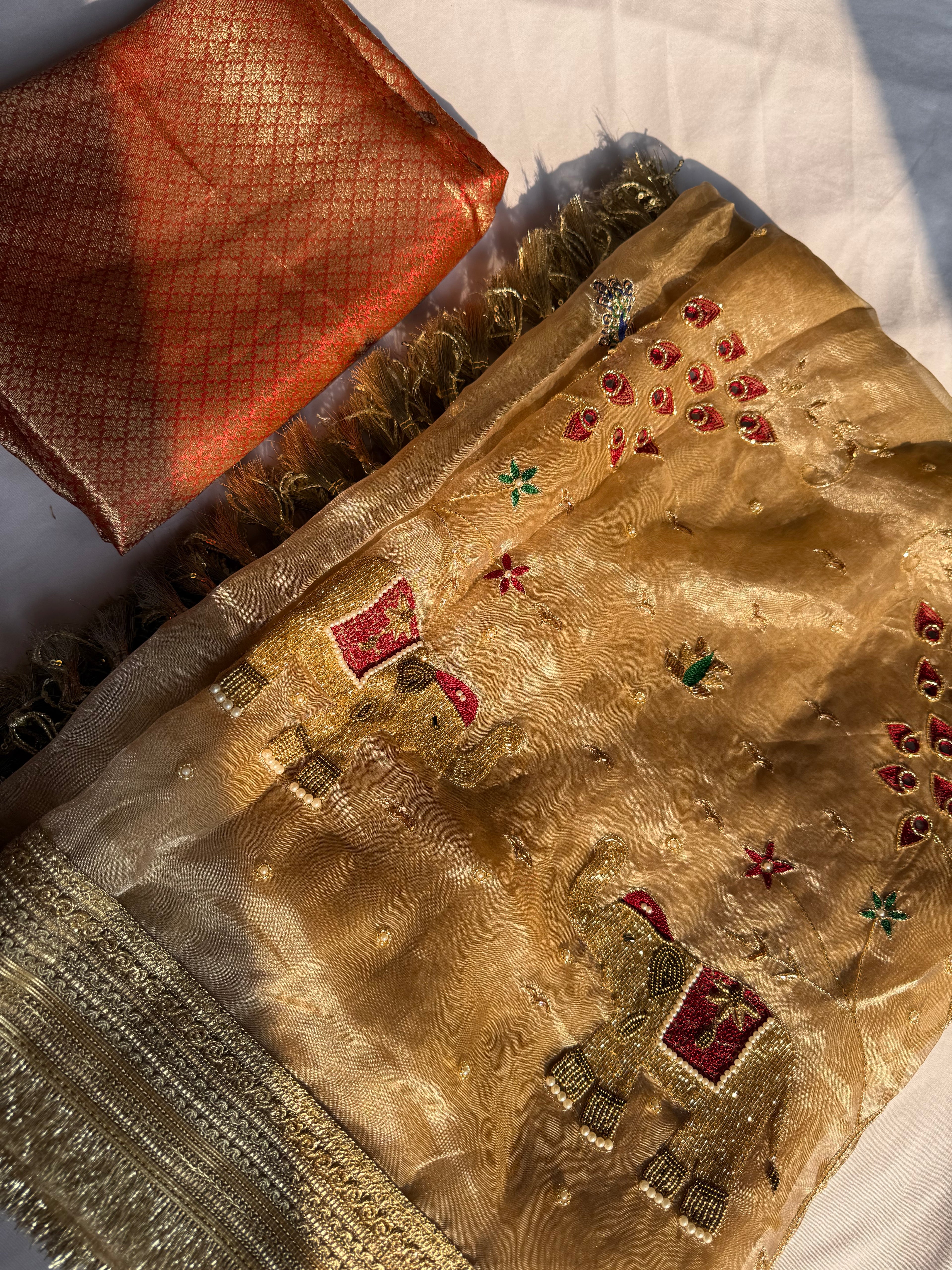 Paro Ki Saree - Pure Tissue Silk Saree With Hand Embroidery
