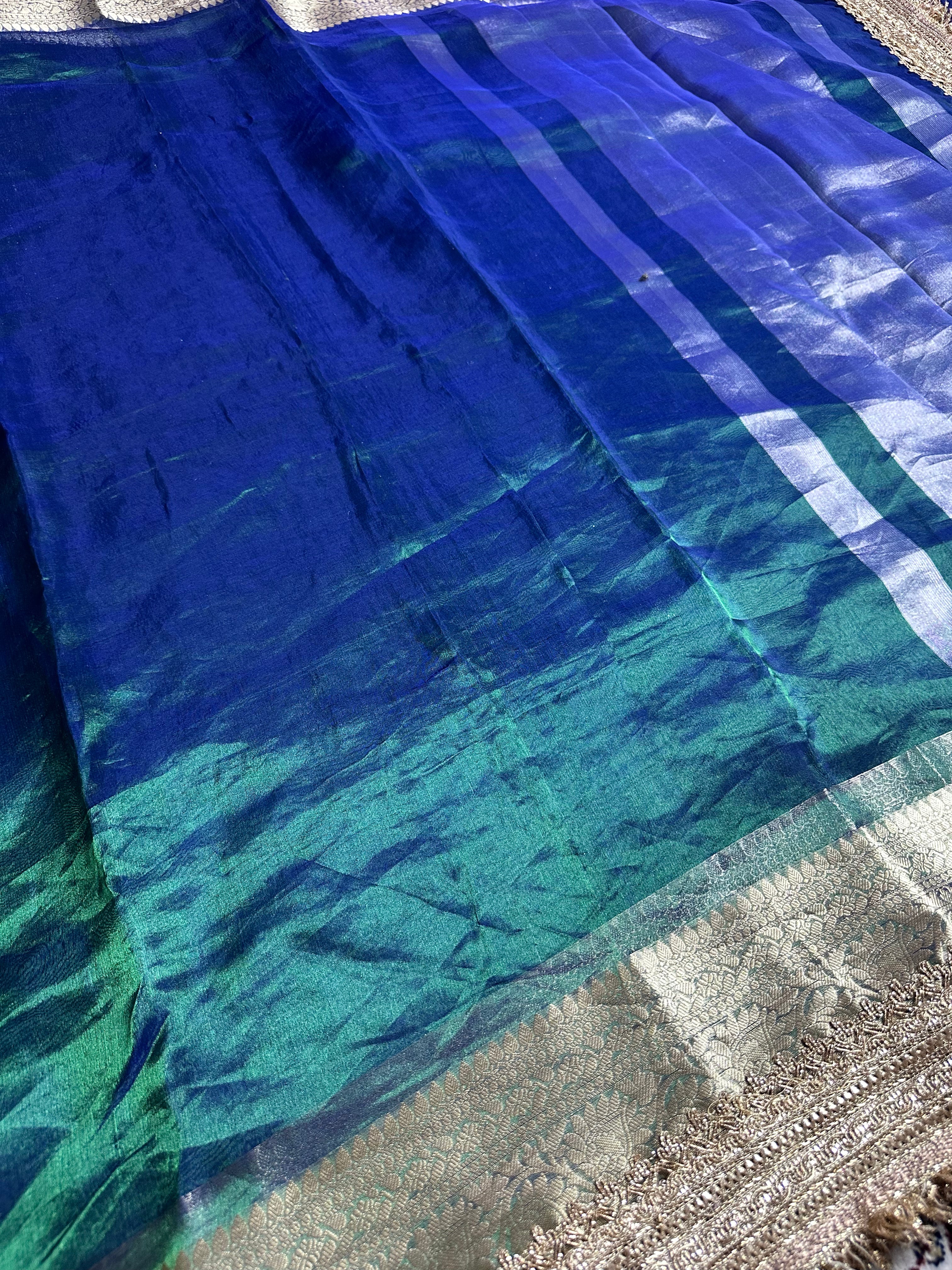 Mayuri Prabha Dhup Chaao Gulbahaar - Pure Tissue Silk Saree With Hand Embroidery