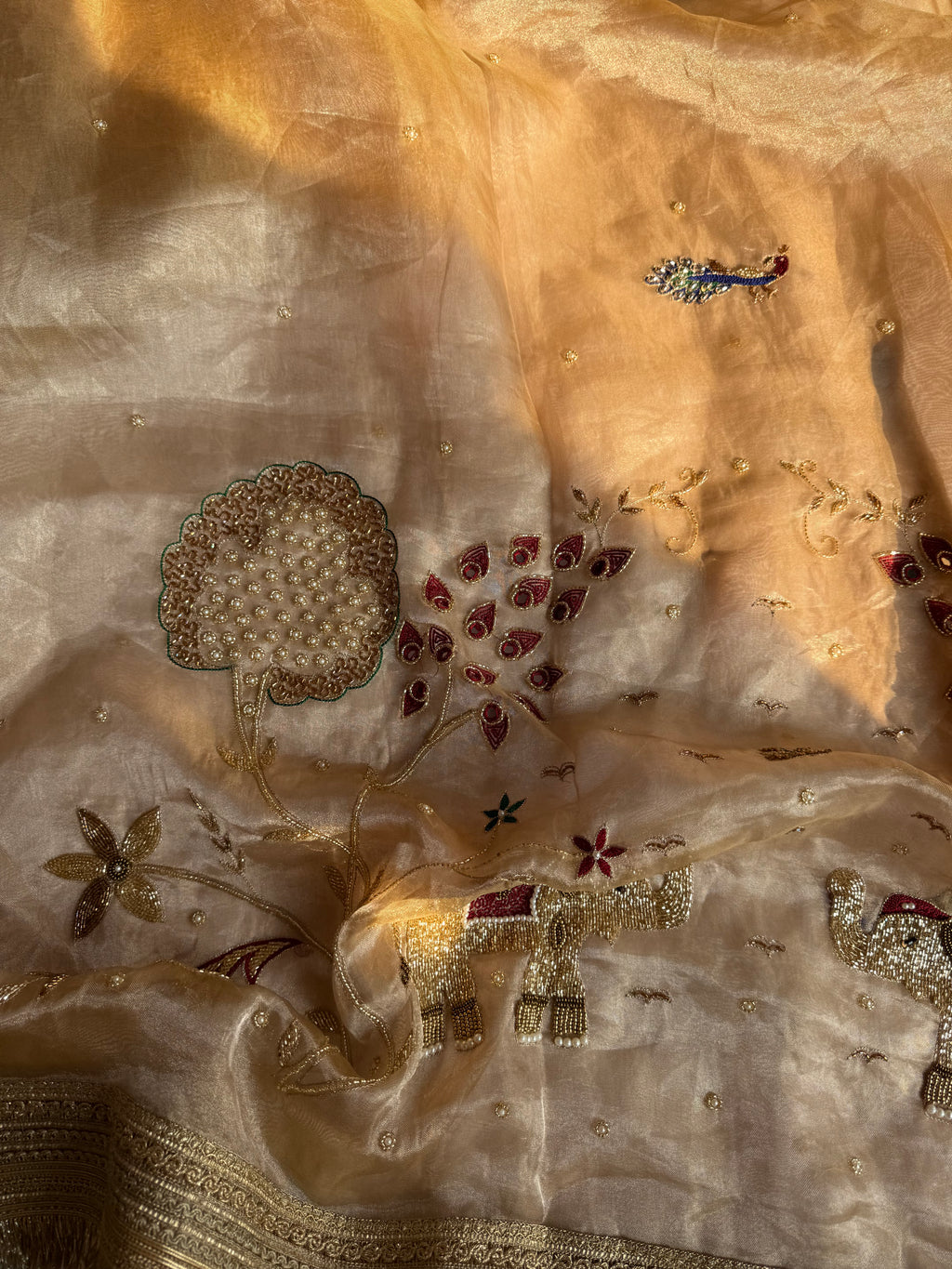 Paro Ki Saree - Pure Tissue Silk Saree With Hand Embroidery