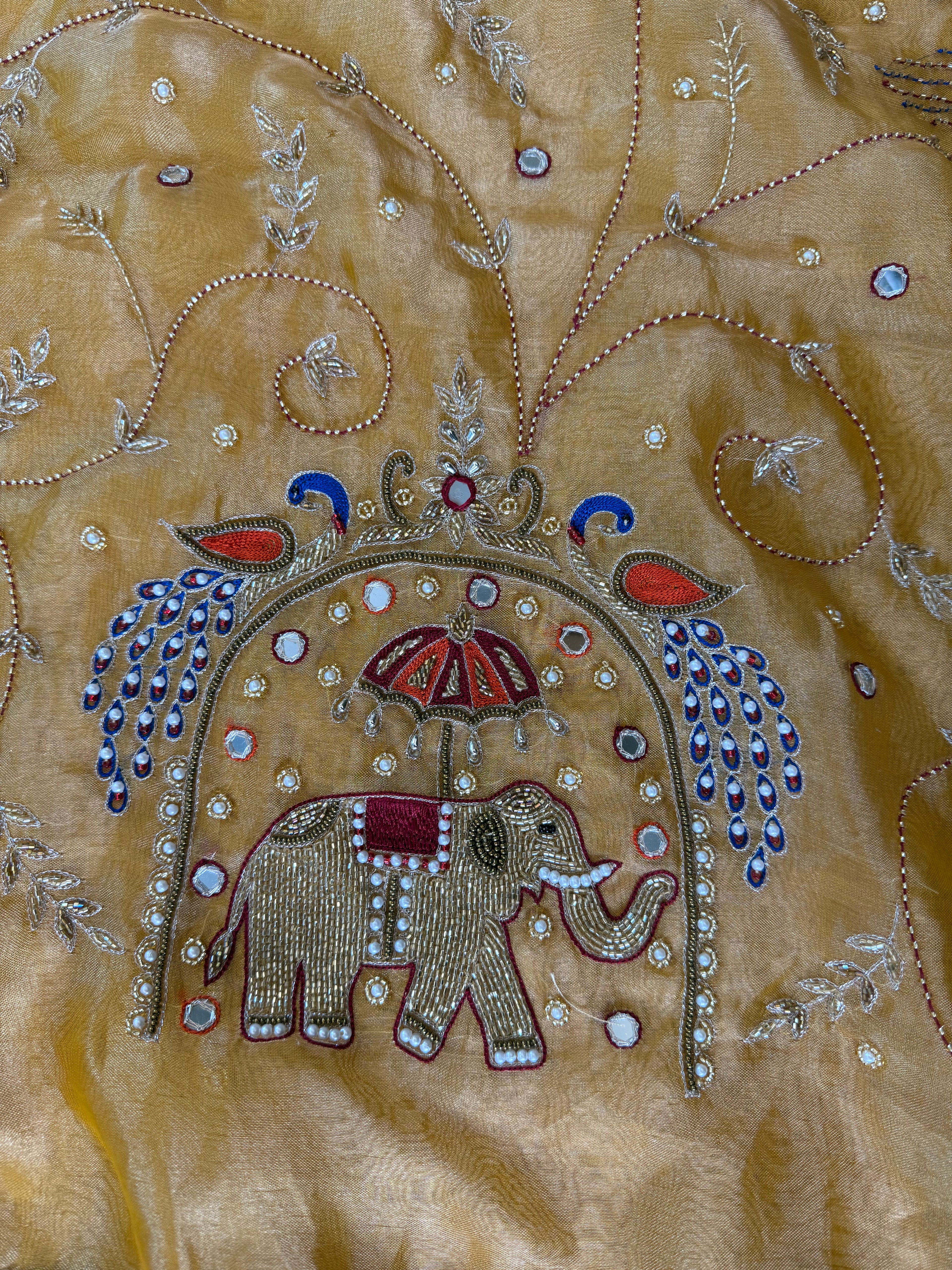 Sone ka Hathi  - Pure Tissue Silk Saree With Hand Embroidery