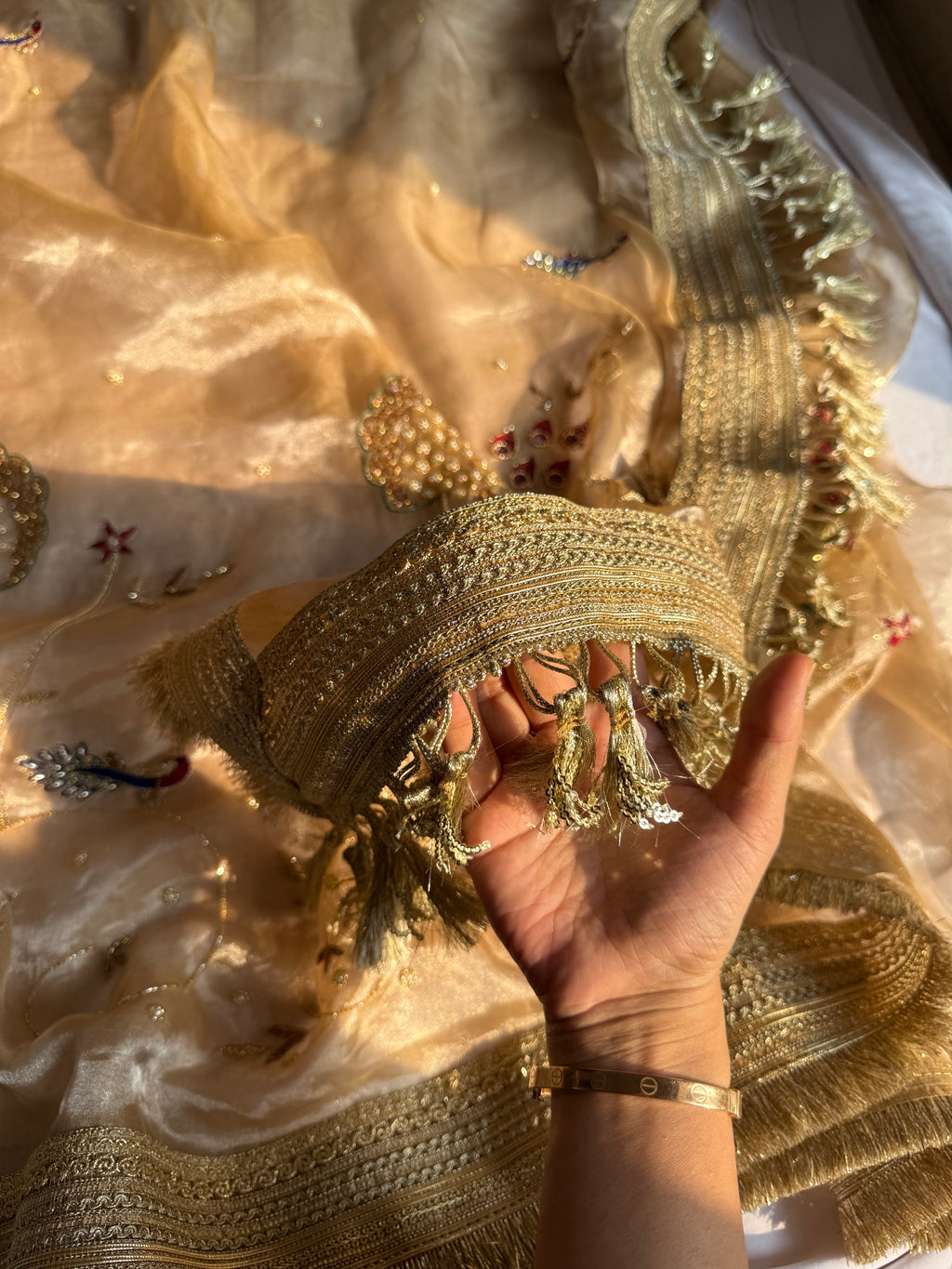 Paro Ki Saree - Pure Tissue Silk Saree With Hand Embroidery