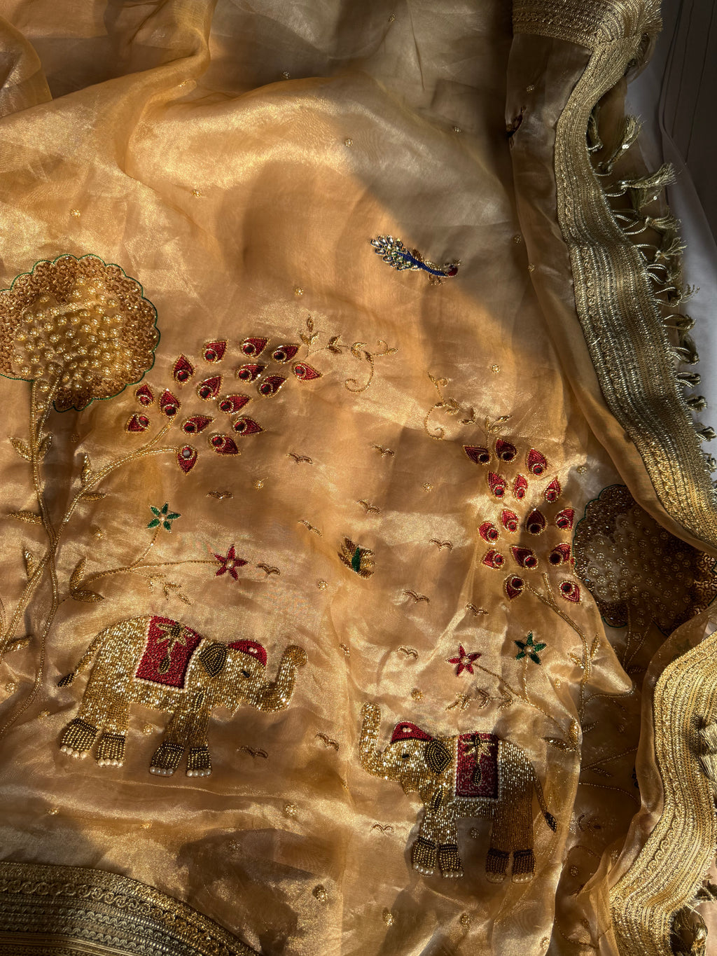 Paro Ki Saree - Pure Tissue Silk Saree With Hand Embroidery