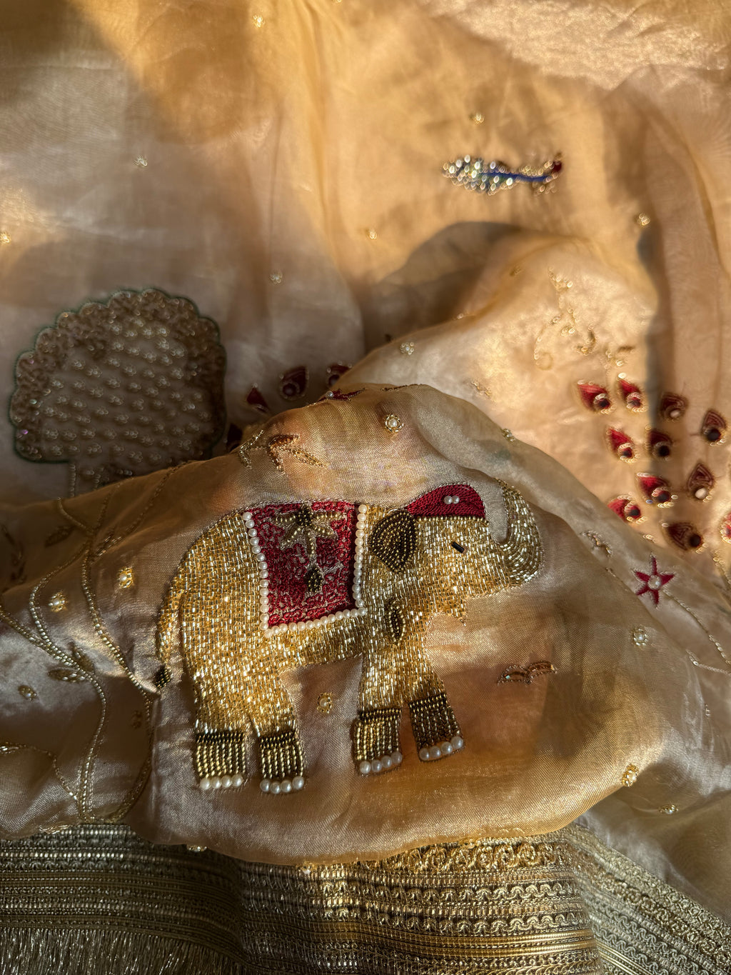 Paro Ki Saree - Pure Tissue Silk Saree With Hand Embroidery