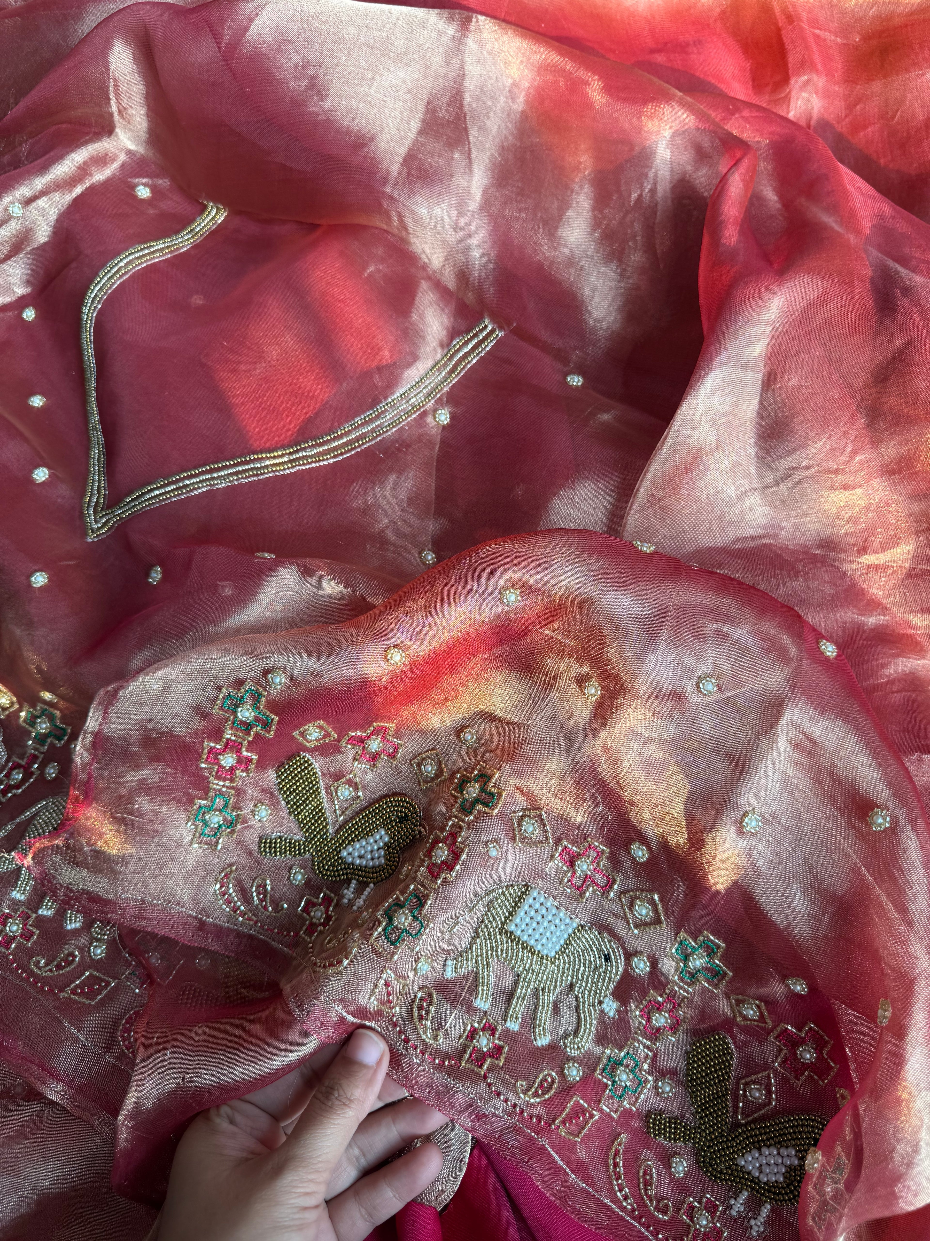 Haseena Waali Saree - Pure Tissue Silk Saree With Hand Embroidery