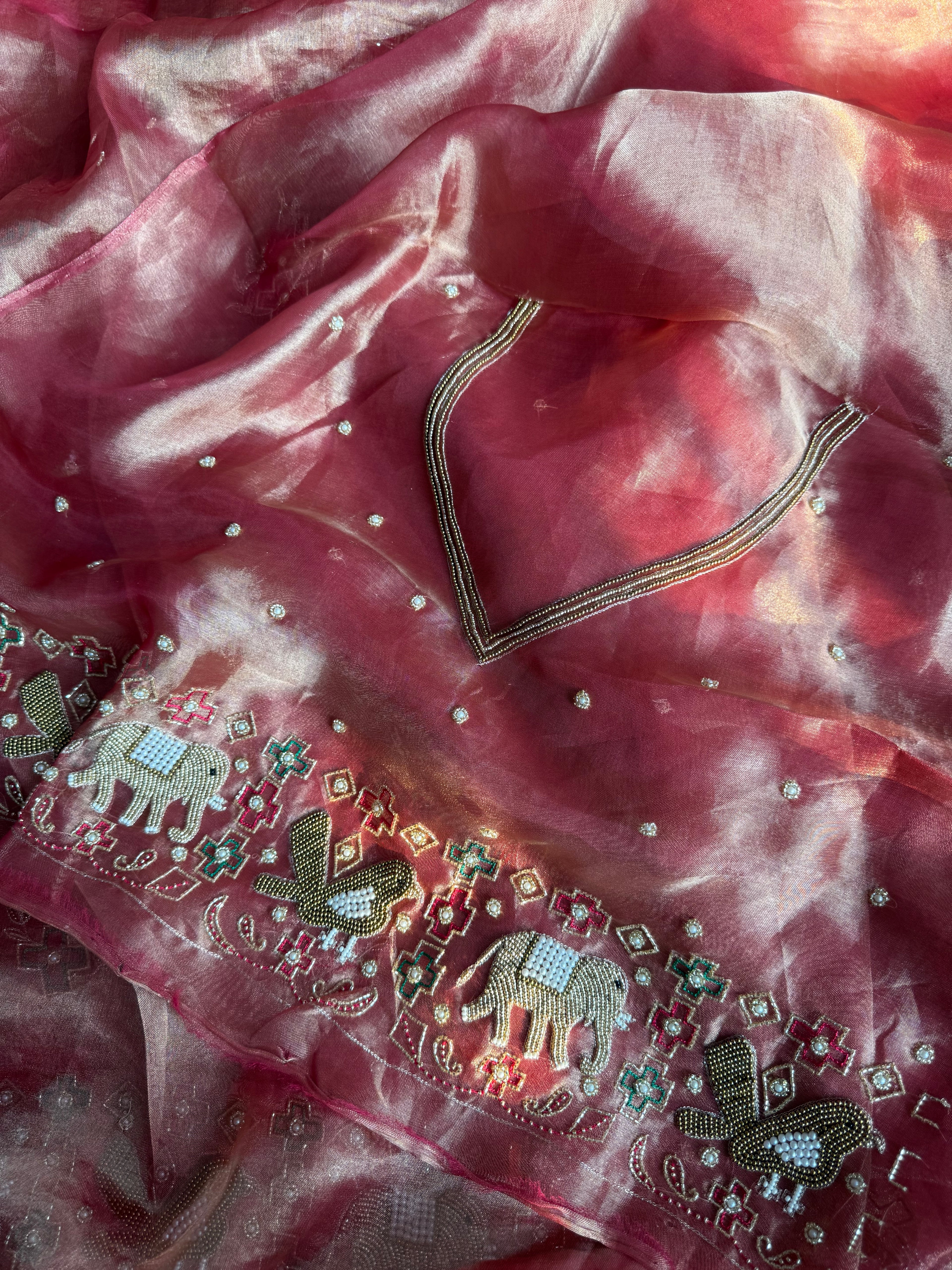 Haseena Waali Saree - Pure Tissue Silk Saree With Hand Embroidery