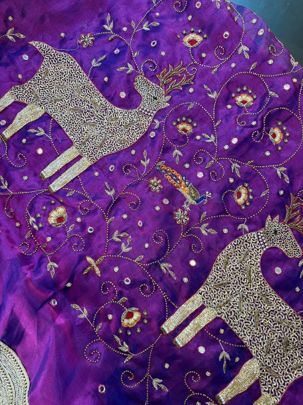 Jamuni Jadoo - Pure Tissue Silk Saree With Hand Embroidery