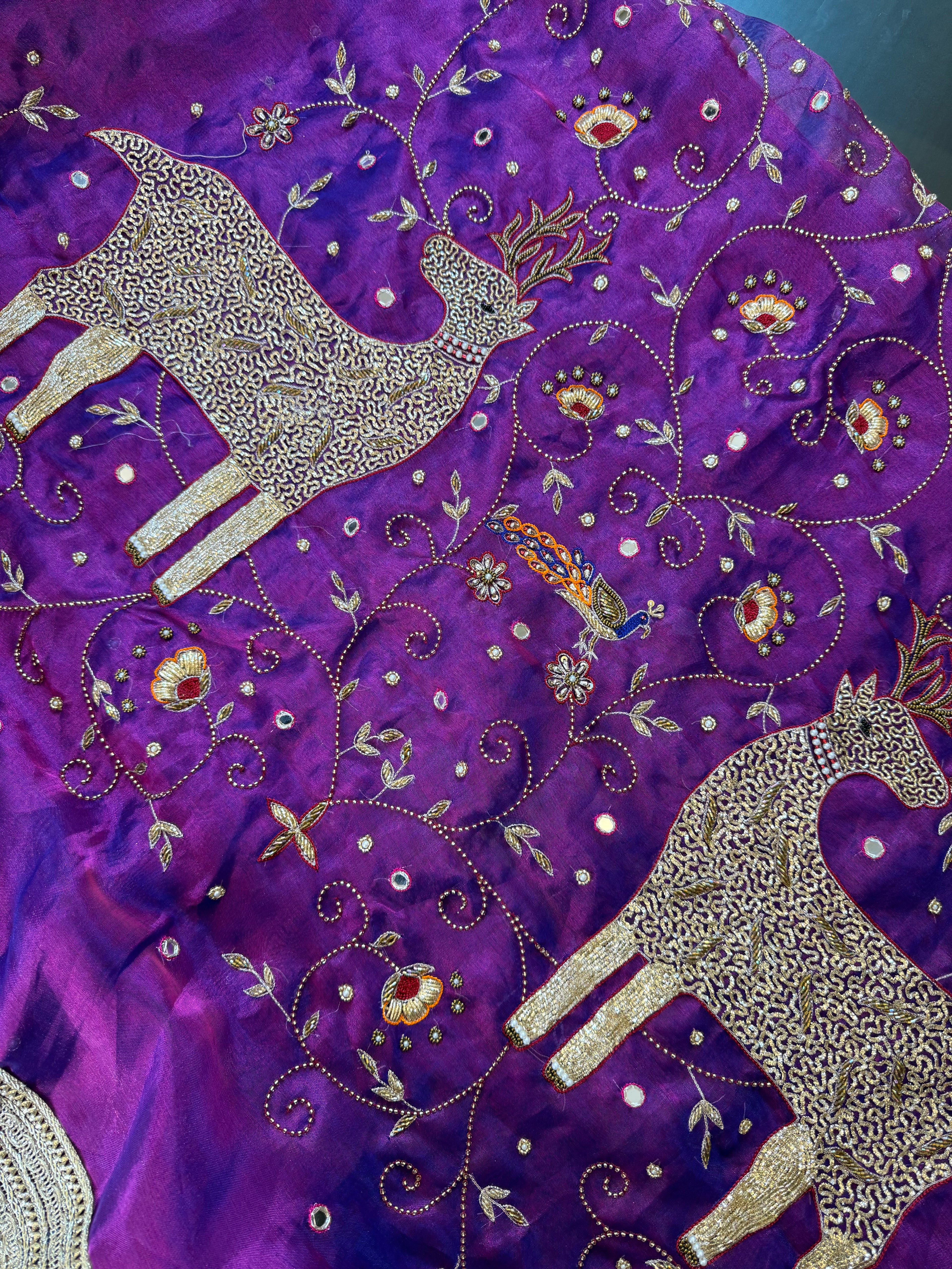 Jamuni Jadoo - Pure Tissue Silk Saree With Hand Embroidery