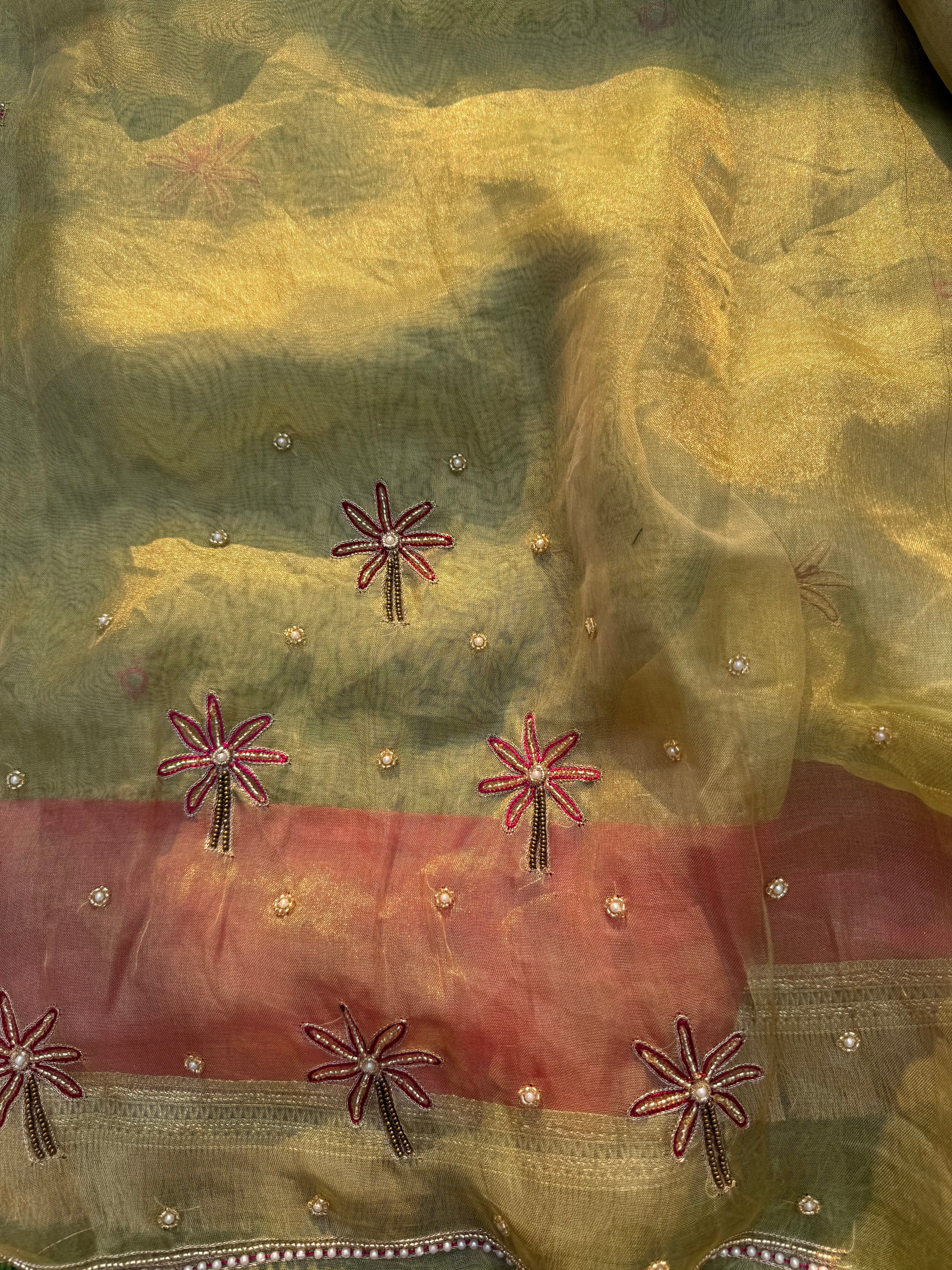 Pista Pari - Pure Tissue Silk Saree With Hand Embroidery