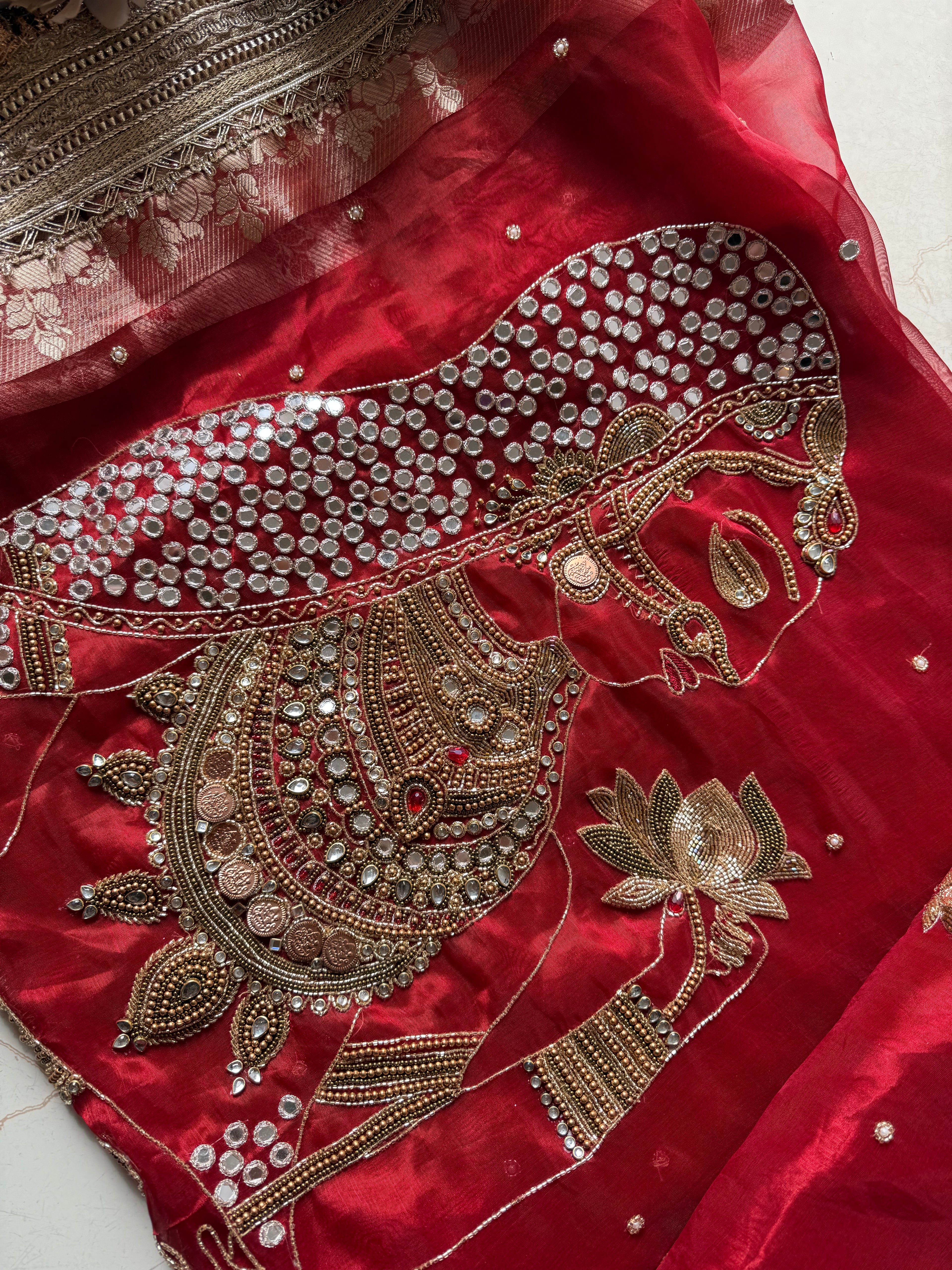 Laal Gulaal - Pure Tissue Silk Saree With Hand Embroidery